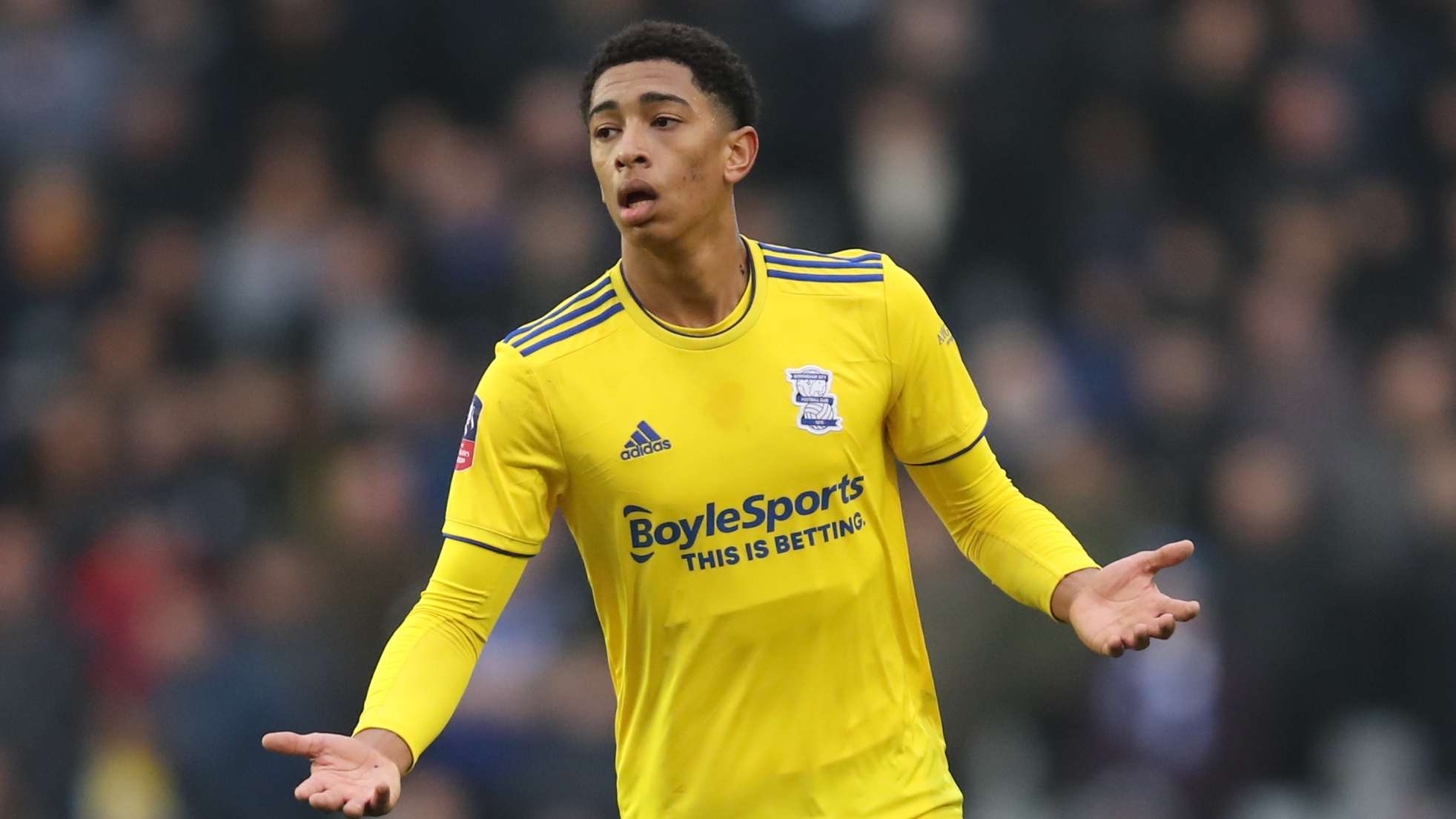 化的发展路 化的发展路